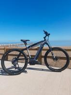 Riese Muller multicharger GT touring, Ophalen of Verzenden, Zo goed als nieuw