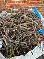 Gratis takken notenboom, Tuin en Terras, Brandhout, Ophalen, Takken