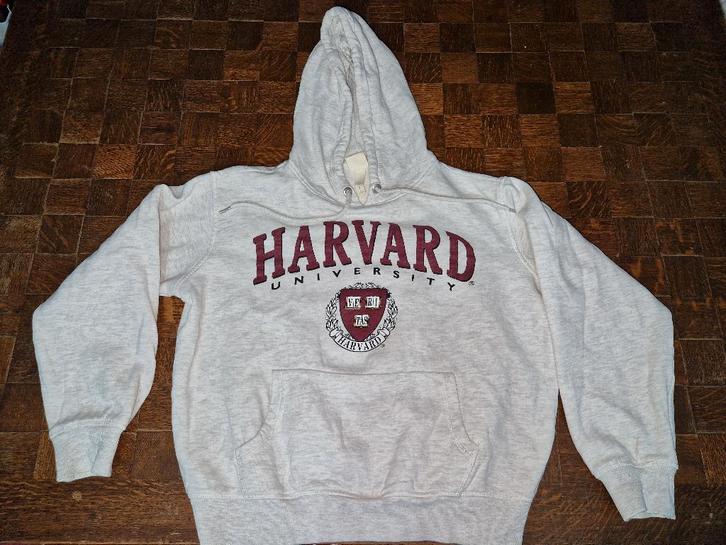 Set van 5 truien met capuchon, Kleding | Dames, Truien en Vesten, Gedragen, Maat 36 (S), Overige kleuren, Ophalen of Verzenden