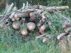 Esdoorn(canada)stookhout. 38kuub., Ophalen
