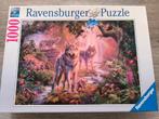 Ravensburger puzzel 1000 stukjes, Ophalen, 500 t/m 1500 stukjes, Zo goed als nieuw, Legpuzzel