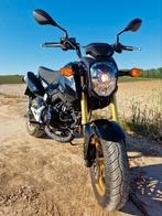 Magnifique MSX125 comme neuf., Motos, Motos | Honda, Particulier