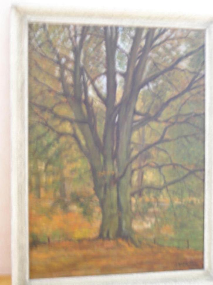 Schilderij Boom in het Bos mooie en goed geschilderd, Antiek en Kunst, Kunst | Schilderijen | Klassiek, Ophalen of Verzenden