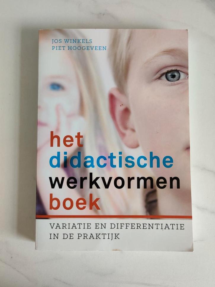 Piet Hoogeveen - Het didactische werkvormenboek, Boeken, Wetenschap, Gelezen, Overige wetenschappen, Ophalen of Verzenden