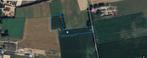 landbouwgrond, Immo, Gronden en Bouwgronden, Meeuwen, Verkoop zonder makelaar, 1500 m² of meer