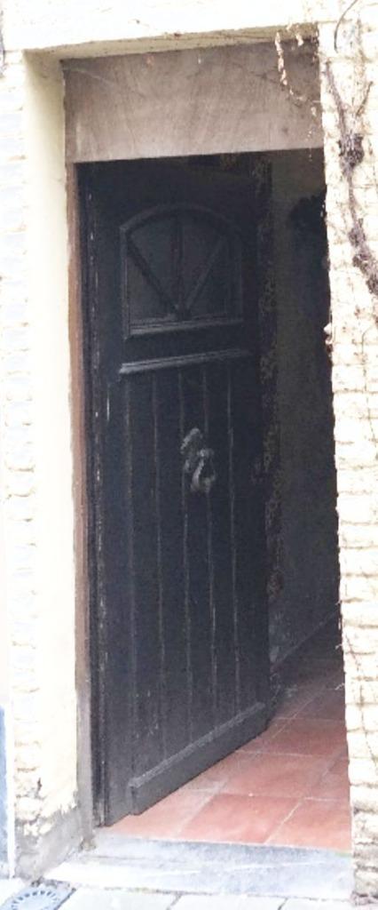 massief houten voordeur meranti, Doe-het-zelf en Bouw, Deuren en Vliegenramen, Gebruikt, Buitendeur, 200 tot 215 cm, 80 tot 100 cm