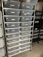 Ballpython collectie met racks, Dieren en Toebehoren, Reptielen en Amfibieën