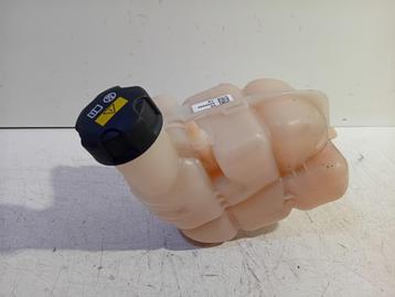 BOCAL LIQUIDE DE REFROIDISSEMENT Countryman (F60) (8669928), Utilisé, Mini