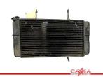 RADIATEUR Yamaha FZS 600 Fazer 2002-2003 (FZS600), Motoren, Gebruikt
