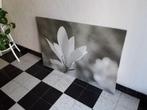 Groot frame, 80 x 120 cm, orchideeën, bloemen, IKEA, Huis en Inrichting, Woonaccessoires | Lijsten, Ophalen, Zo goed als nieuw