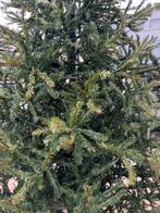 Kerstboom, Tuin en Terras, Ophalen