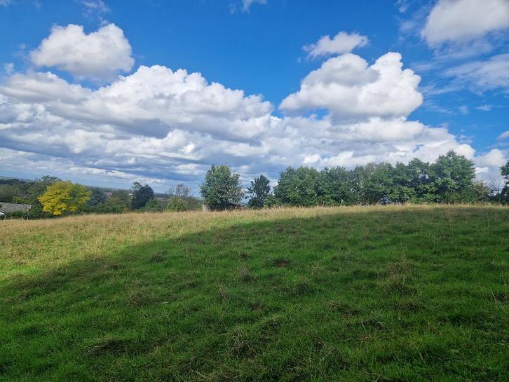 Weide te koop, evenals weide te huur in Herent, Dieren en Toebehoren, Stalling en Weidegang, Weidegang, 4 paarden of pony's of meer