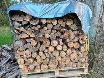 1,1 kuub droog brandhout den kan geladen worden