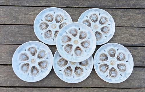 6 assiettes huîtres/coquillages manufacture Longchamp, 1970, Maison & Meubles, Cuisine | Vaisselle, Utilisé, Assiettes(s), Poterie rustique