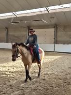 5 jarige D pony merrie, Dieren en Toebehoren, Merrie, Zadelmak