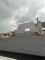 Dak en plat dak renovatie, Diensten en Vakmensen, Verbouw of Aanbouw