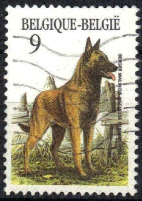Belgie 1986 - Yvert/OBP 2213 - Belgische hondenrassen (ST), Postzegels en Munten, Postzegels | Europa | België, Gestempeld, Gestempeld