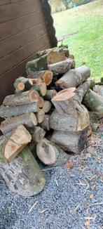 Buche de chauffage de 3 arbres., Jardin & Terrasse, Enlèvement, Bûches