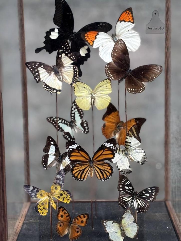 Hoge vierkante stolp vlinders, Huis en Inrichting, Woonaccessoires | Stolpen, Nieuw, Ophalen of Verzenden