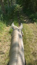 Paardenmest gratis, Ophalen, Mest