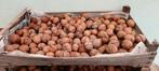 Okkernoten te koop in West Vlaanderen Ruiselede., Diversen, Levensmiddelen, Ophalen