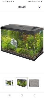 Aquarium, Dieren en Toebehoren, Ophalen, Gebruikt, Leeg aquarium