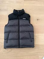 Schott N.Y.C bodywarmer (met kap), Kleding | Heren, Bodywarmers, Ophalen, Zo goed als nieuw, Maat 46 (S) of kleiner, Zwart