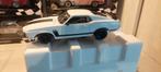 Foulger ford mustang 1979 bos 302 mustang, Hobby en Vrije tijd, Ophalen of Verzenden, Zo goed als nieuw