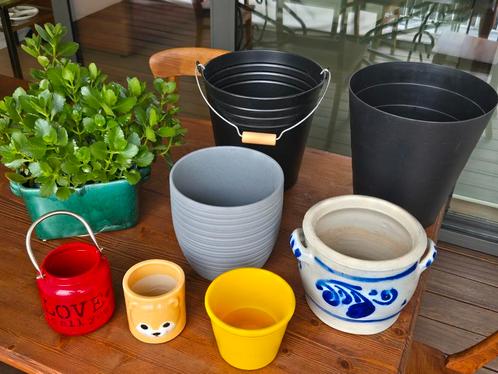 Mooie lot cache poten met inclusief mooie plant alles samen, Tuin en Terras, Bloempotten, Zo goed als nieuw, Ophalen of Verzenden