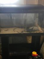 Aquarium 80L, Ophalen, Gebruikt, Leeg aquarium