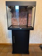 Juwel 100L aquarium met kast = 120€, Dieren en Toebehoren, Vissen | Aquaria en Toebehoren, Ophalen, Gebruikt, Leeg aquarium