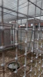 Alles te koop, Dieren en Toebehoren