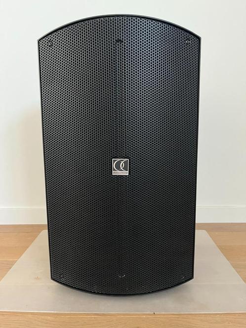 Audiophony ATOM12A actieve speaker met DSP, Audio, Tv en Foto, Luidsprekerboxen, Zo goed als nieuw, Front, Rear of Stereo speakers