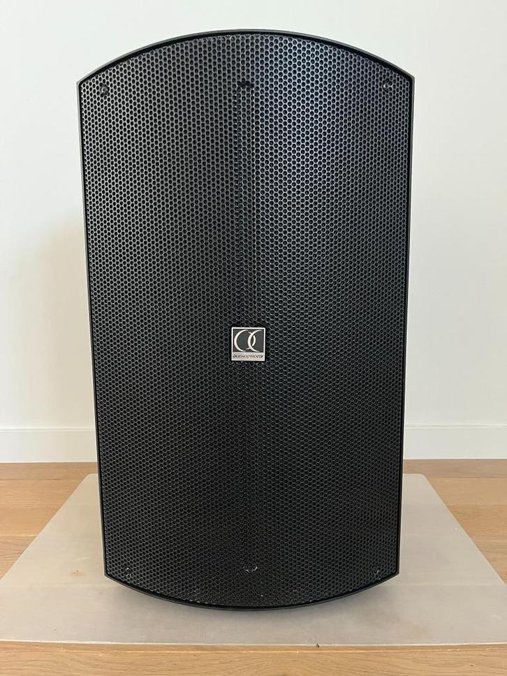 Audiophony ATOM12A actieve speaker met DSP, Audio, Tv en Foto, Luidsprekerboxen, Zo goed als nieuw, Front, Rear of Stereo speakers