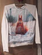 Sweater met eekhoorn, Ophalen, Zo goed als nieuw