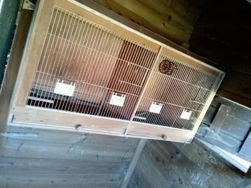 Vogelkooien  beschikbaar voor biedingen