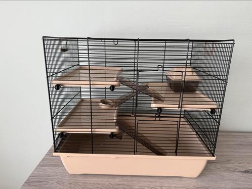 Interzoo Hamsterkooi Pinky3 Mocca, Dieren en Toebehoren, Knaagdieren en Konijnen | Hokken en Kooien, Zo goed als nieuw, Kooi, Minder dan 60 cm