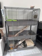 Konijnenhok + toebehoren, Dieren en Toebehoren, Knaagdieren en Konijnen | Hokken en Kooien, Ophalen, Gebruikt