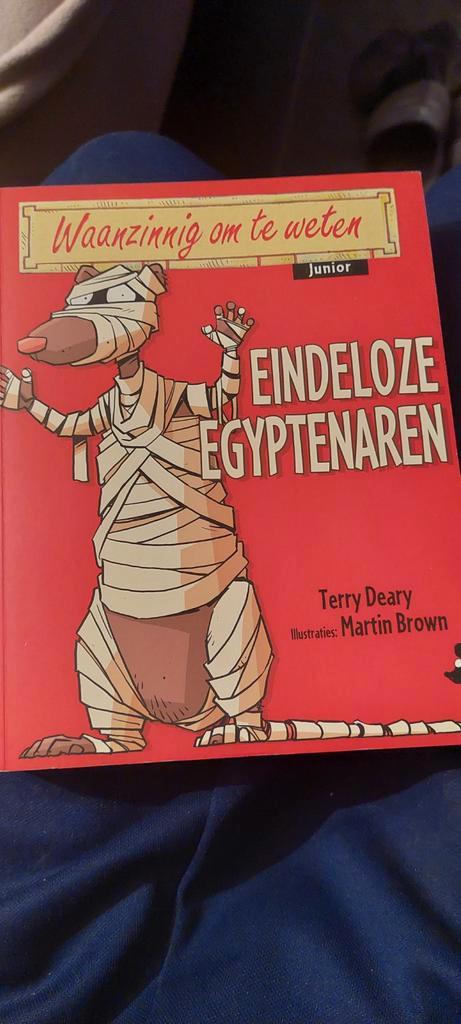 Terry Deary - Eindeloze Egyptenaren, Boeken, Kinderboeken | Jeugd | onder 10 jaar, Ophalen of Verzenden