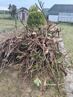 Gratis fijn hout te Oudenaarde, 3 tot 6 m³, Ophalen, Overige houtsoorten, Takken