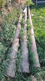 houten palen (antirot), Tuin en Terras, Palen, Balken en Planken, Ophalen, Gebruikt, 250 cm of meer, Palen