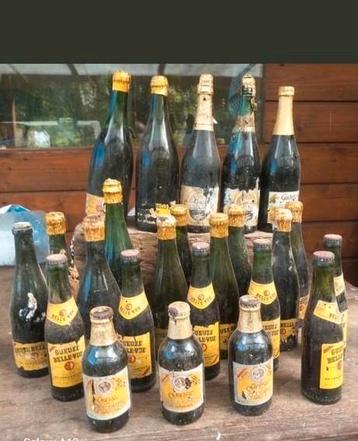 Très beau Lot Bière Gueuze Vîntage beschikbaar voor biedingen