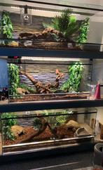 Terrarium en verre 120, Dieren en Toebehoren, Reptielen en Amfibieën | Toebehoren, Gebruikt