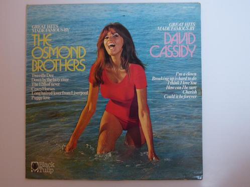 Unknown Artist Great Hits Made Famous By The Osmond Brothers, Cd's en Dvd's, Vinyl | Pop, Gebruikt, 1960 tot 1980, 12 inch, Ophalen of Verzenden