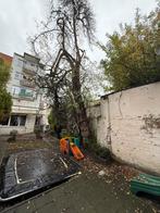 Gratis brandhout, Ophalen