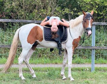 4 jarige bonte kinderpony beschikbaar voor biedingen