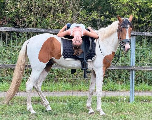 4 jarige bonte kinderpony, Dieren en Toebehoren, Pony's, Ruin, B, E pony (1.48m - 1.57m), Recreatiepony, 3 tot 6 jaar, Gechipt