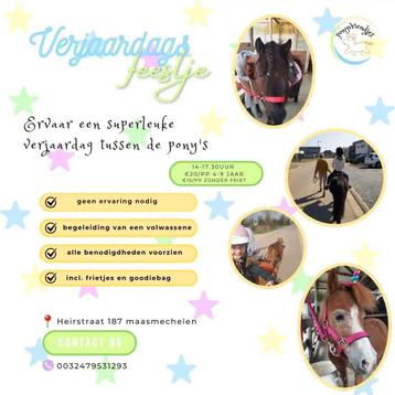 Pony verjaardags feestje beschikbaar voor biedingen