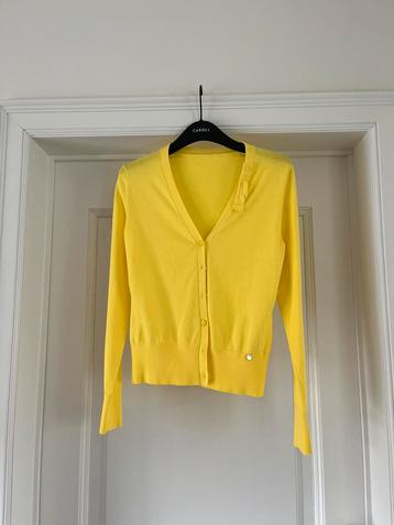 Magnifique Cardigan jaune de Terre Bleue M, Taille 38/40 (M), Terre Bleue, Comme neuf, Jaune