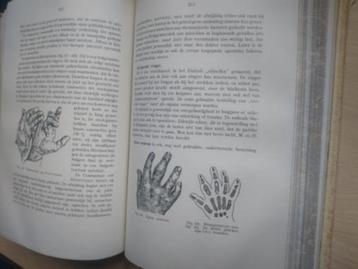 boek: grondbeginselen der orthopaedie ; dr. A.C. Belmonte beschikbaar voor biedingen